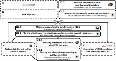 Microbiota independent effects of oligosaccharides on Caco-2 cells -A semi-targeted metabolomics approach using DI-FT-ICR-MS coupled with pathway enrichment analysis